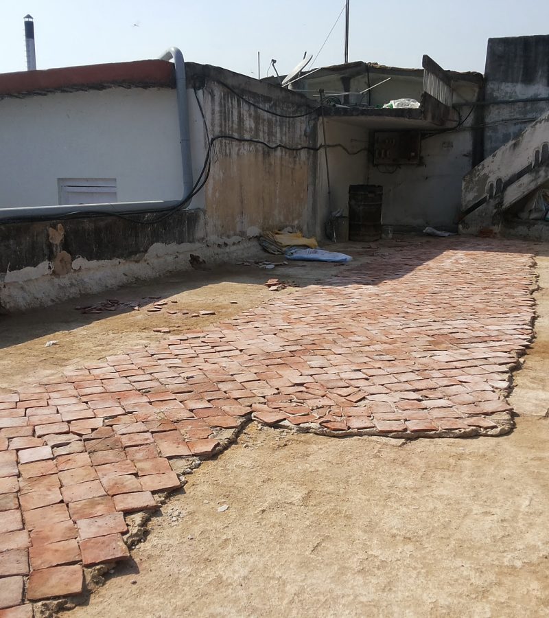 conservation-projects2